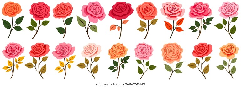 Set Vector de flores de color rosa. Ilustración de diseño de rosas exóticas de moda