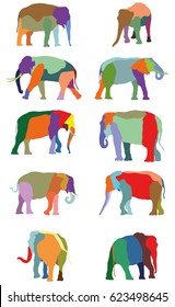 Set of vector colorful standing indian and african elephants on white background