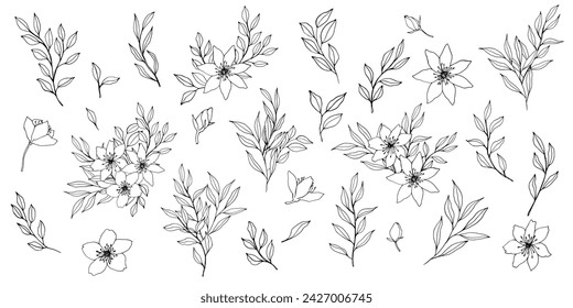 Set of vector composition with flower, leaves and branch. Elegant art for decoration. ink hand drawing monochrome botanical illustration for backgrounds, wedding cards, polygraph, logo, tattoo
