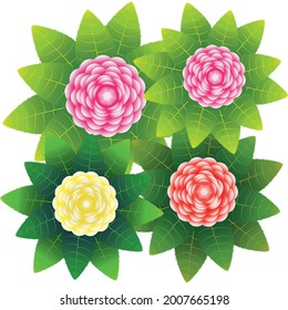 Set of vector compositions from Camellia Japonica flowers. for wedding concept - flowers, Floral posters, vector arrangements for greeting card or invitation design, and other.