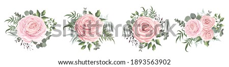 Similar – Image, Stock Photo pink magnolia blossoms | the magnolia as a medicinal plant | more than just beautiful.