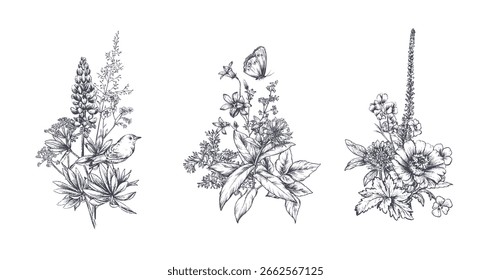 Conjunto de composições vetoriais com flores silvestres de prados, ervas, plantas. Flores diferentes em belos buquês de verão