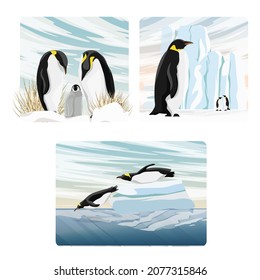 A set of vector compositions with realistic Emperor Penguins in the North. Penguins and their chicks stand near ice floes and glaciers, dive into the ocean from an ice floe. Realistic landscapes