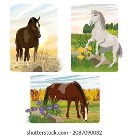 A set of vector compositions with realistic horses. Horses in meadows and fields. Realistic landscapes