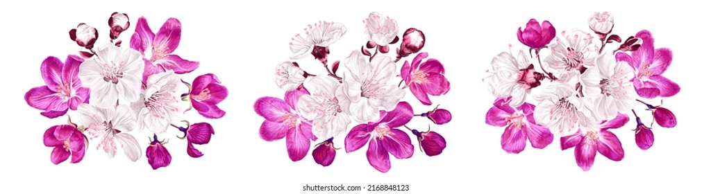 Set of vector compositions with spring flowers. Realistic white and pink fruit tree branches. Detailed hand-drawn clip art element isolated on white background for your design.