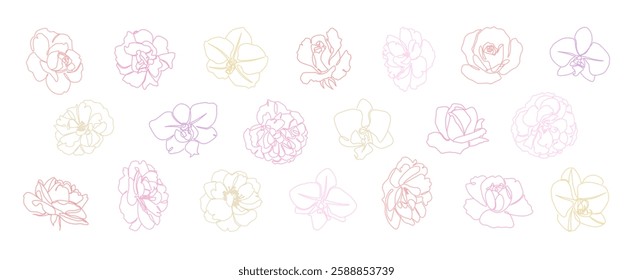 Set of vector continuous line flowers in pastel colors. Rose, peony, orchid blooming flower head minimalistic line illustration for wedding invitations and other floral designs