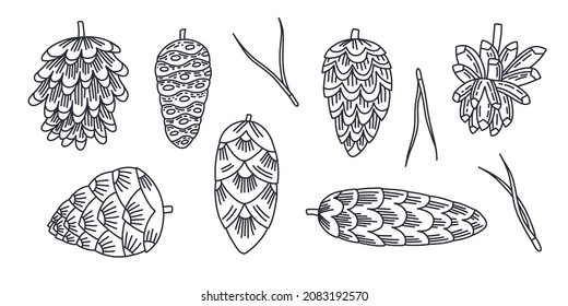 Set of vector contour cones and pine needles. Doodle illustration for coloring, wallpaper, decoration