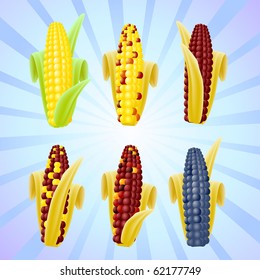 Set of vector corn varieties