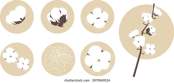 A set of vector cotton plant elements.Can be useful as icon, logo, in infografics and in packaging design.