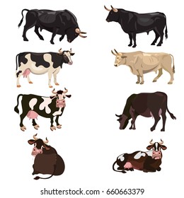 Set of vector cows and bulls