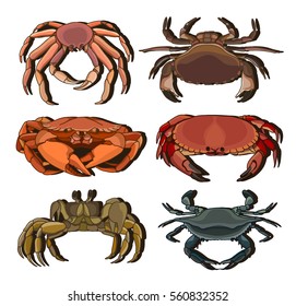 Set of vector crab icons