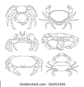 Set of vector crab icons. Vector illustration