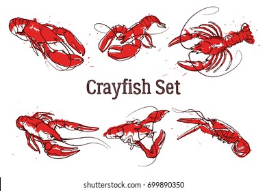 Set of vector crawfish illustrations drawn in ink. Splattered seafood concept on white background. Hand drawn boil prawn or lobster. Text CRAYFISH SET. Sketch vector set good for pub menu decoration