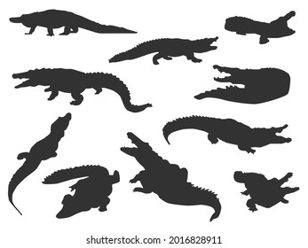 1,675 Crocodile shadow Images, Stock Photos & Vectors | Shutterstock