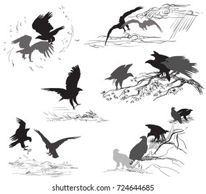 Set of vector cut out scenes of eagle silhouettes in black color on white background. Relationship of eagles