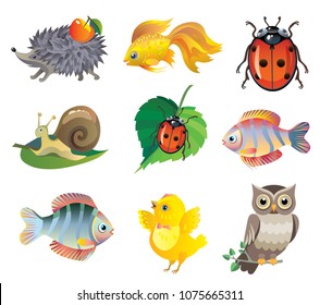 Set of vector cute animals: hedgehog, fish, goldfish, snail, ladybug, chick