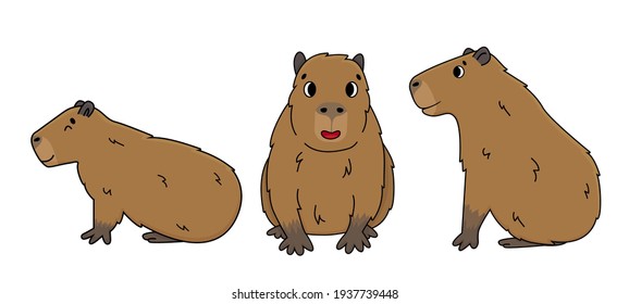 Conjunto de dibujos animados lindos Vector contorno sonrisas de Capybara se sienta en el suelo, ojos cerrados y abiertos, soñadores, activos. Ilustración aislada de los animales sobre fondo blanco, vista lateral y frontal