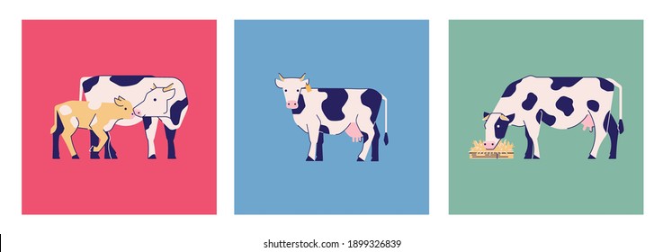 Set of vector cute stylised cows.  Modern colour illustration for your projects. Isolated elements for posters, websites, products. 