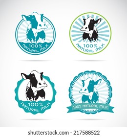 Set of vector an dairy cows label on white background