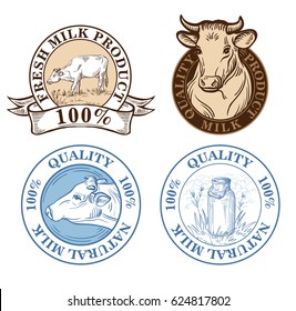 Set of vector an dairy cows label on white background sketch drawing