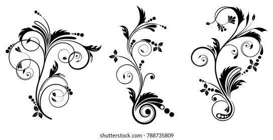 Set of vector decoration curve elements
