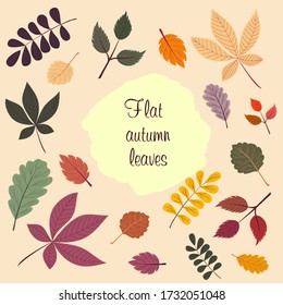 Set of vector decorative elements from autumn leaves with the inscription "Flat autumn leaves", made in colorful seasonal colors. Leaves can be used as elements for decoration or scrapbooking.