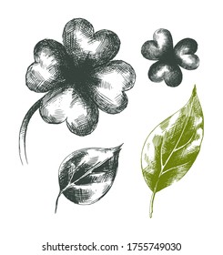 Set of Vector decorative hand-drawn leaves . Artwork with imitation black ink or pen. Elements for packaging
 design of tea, medicines, cosmetics, banners, gift products. Clover, birch, poplar.