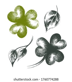 Set of Vector decorative hand-drawn leaves . Artwork with imitation black ink or pen. Elements for the design of packaging of tea, medicines, cosmetics, banners, gift products. Clover, birch, tea.