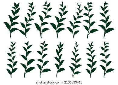 set of vector design element green leaf, illustration decoration for design