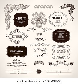 Set of vector design elements and calligraphic page decoration