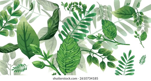 Set of vector design elements from collection of natural, green leaves, tea herbs in realistic style. Decorative beauty elegant illustration for design art