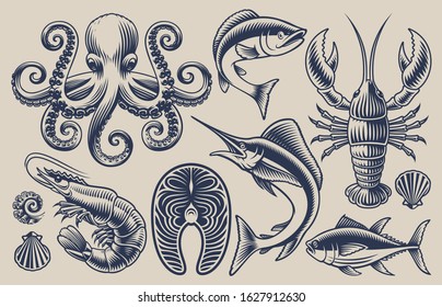 Set of vector design elements for seafood theme on a light background