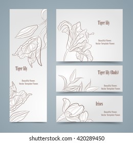 Set of vector design templates. Brochures in random colorful style. Vintage frames and backgrounds. Zentangle designs.
