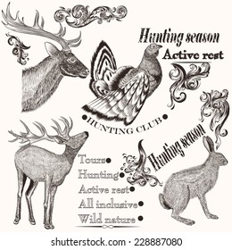 Set of vector detailed animals for design
