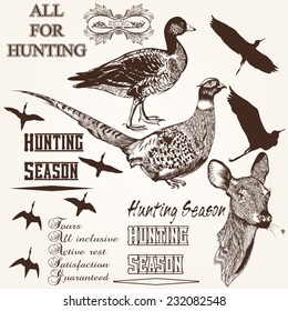 Set of vector detailed animals for design