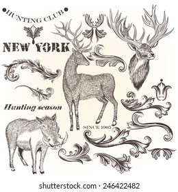 Set of vector detailed animals for design