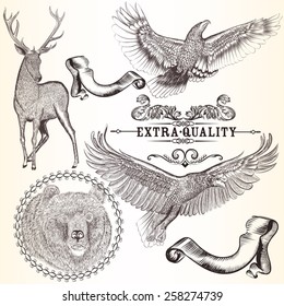 Set of vector detailed animals for design