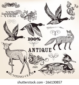 Set of vector detailed animals for design 