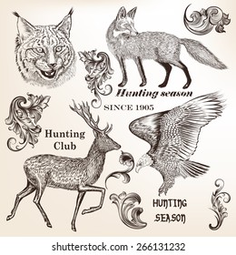 Set of vector detailed animals for design