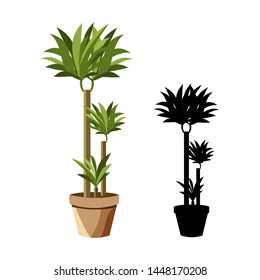 Set of vector detailed house plant for interior design and decoration.Tropical plant for interior decor of home or office.Color and monochrome  drawings.
