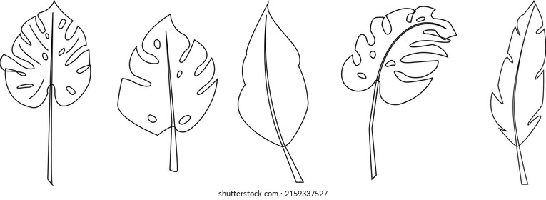 A set of vector different tropical leaves. Modern decor. Monstera leaf line art. Drawing a continuous line. The art of minimalism.