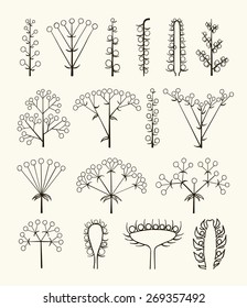 Set of vector different types of inflorescence, scientific scheme of flower on stalk ,botany, isolated on white.