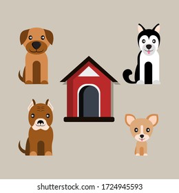 a set of vector dog pets