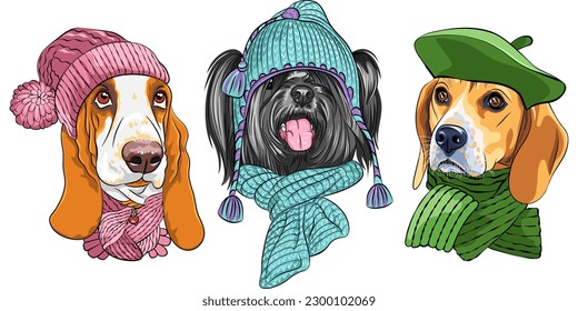 Set vector dogs in warm winter hat and scarf, Basset Hound, Skye Terrier and Beagle breed