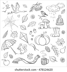 
Set of vector doodle drawings on the theme of autumn. Isolated figures