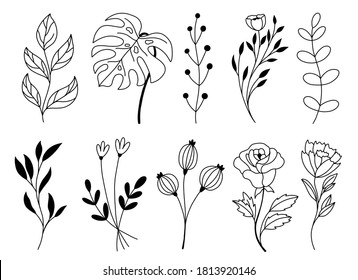 Set of vector doodle hand drawn floral elements. Decoration elements for design invitation, wedding cards, valentines day, greeting cards