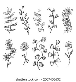Set of vector doodle icons. Collection of design elements, branches and twigs with leaves, flower buds and petals.