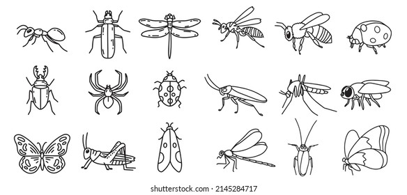 Set vector doodle insects  Collection modern line hand drawn bugs  Ant  butterfly  bug  spider  fly  moth 