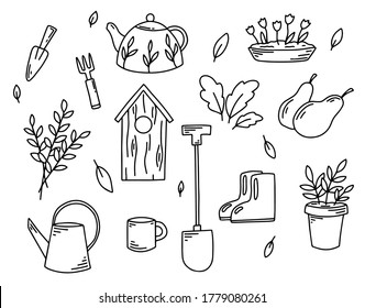 Set of vector doodle spring elements, pear, harvest, garden. Planting seeds, herbs grow, summer time, countryside