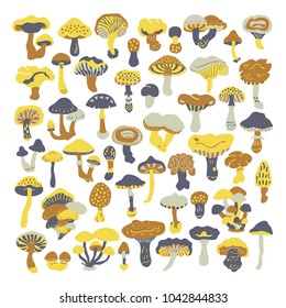 Set of vector doodles mushrooms. Icons isolated on white backgroun for recipes, design menu, packages. Vector design elements.